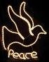Peace Dove