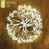 Life CD