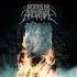 Physics Of Fire CD