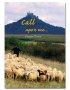 Call Upon Me Prayer Diary 2009