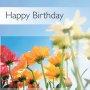 Happy Birthday Card - Single