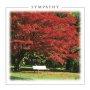 Sympathy Card - Pack Of 6