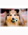 Playful Pals Birthday Cards - Pack of 12