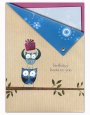 Whoo's Having A Birthday, Birthday Cards - Pack of 12