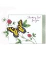 Petite Greetings Birthday Cards - Pack of 12