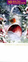 Robin Scene Christmas Cards - Pack of 10