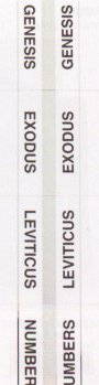 Bible Tabs STD Silver Edge