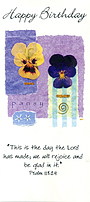 Birthday Bargain Cards - Pack of 20