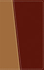Amplified Topical Reference Bible: Tan / Burgundy, Italian Duo Tone