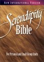 NIV Serendipity Bible: Hardback