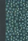 NIV Compact Bible : Aqua/Floral Duo-Tone (British Text)