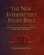 New Interpreter's Study Bible on CD-ROM