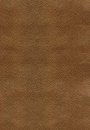 NKJV Study Bible: Bronze, Bonded Leather