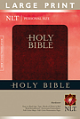 NLT Personal Size Large Print Bible: Hardback
