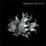 Eternity Is Now CD