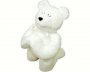 White Praying Holy Bear