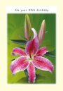 On Your 80th Birthday Card - Single