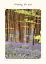 Praying For You Card - Pack of 6