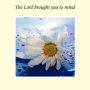 The Lord Brought You To Mind Card - Pack of 6