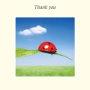 Solitary Ladybird: Thank You Card - Single
