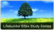 Lifebuilder Bible Study Series by Scripture Union