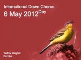 The Dawn Chorus and Your Morning Devotional