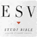 Study Bible