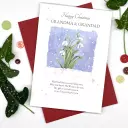 Grandma & Grandad Snowdrops Christian Christmas Card
