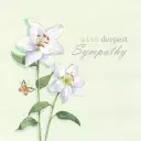 With Deepest Sympathy Single Card