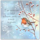 Robin In The Snow (Pack of 5) Christian Christmas Cards
