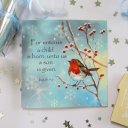 Robin In The Snow (Pack of 5) Christian Christmas Cards