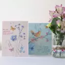 Bird and Butterfly Notecards Multi pack of 6