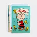 Peanuts - All Occasion - 12 Boxed Cards