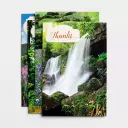 Thank You - Landscapes - 12 Boxed Cards, KJV