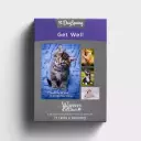 Get Well - Whiskers & Paws - 12 Boxed Cards
