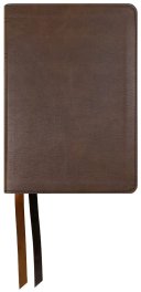 NASB 2020 Large Print Personal Size Bible, Brown