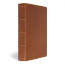 CSB Men's Daily Bible, Brown Genuine Leather, Indexed