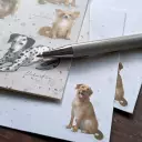 Notecard And Pen Set Boxed - Patricia Maccarthy Dogs
