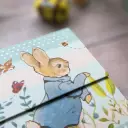 Mini Magnetic Notebooks - Peter Rabbit Pastel Stripes