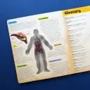 3D Discover the Human Body Book