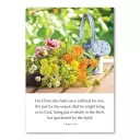 Greetings Cards: L series (mixed pack of 6)