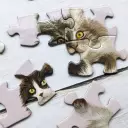 100 Pc Cube Jigsaw - Patricia Maccarthy Cats