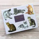 Fliplid Boxed Notecard Set - Patricia Maccarthy Cats