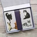 Fliplid Boxed Notecard Set - Patricia Maccarthy Cats