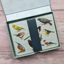 Fliplid Boxed Notecard Set - Patricia Maccarthy Birds