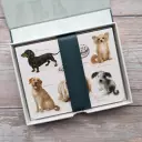 Fliplid Boxed Notecard Set - Patricia Maccarthy Dogs