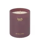 Comfort and Joy Candle - NEW