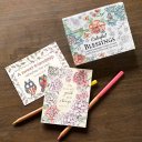 Colourful Blessings Box of Encouragement Cards