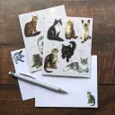 Notecard And Pen Set Boxed - Patricia Maccarthy Cats