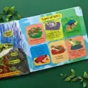 Frogs - Life-Cycle Lift-The-Flap Board Book